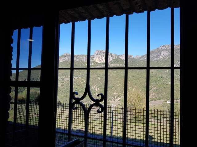 Vivienda Rural Casa Sofia Villa Ubrique Dış mekan fotoğraf