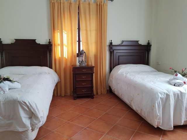 Vivienda Rural Casa Sofia Villa Ubrique Dış mekan fotoğraf